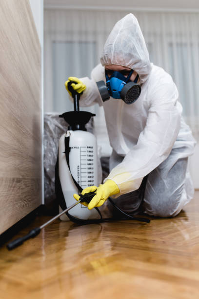 Emergency Pest Control Services in Bridgetown, OH